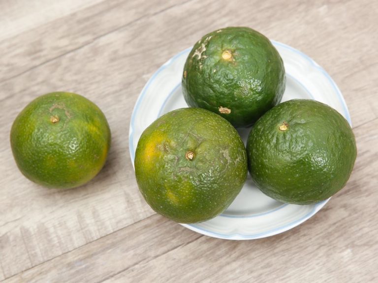 Các loại trái cây tốt cho bà bầu chứa nhiều vitamin
