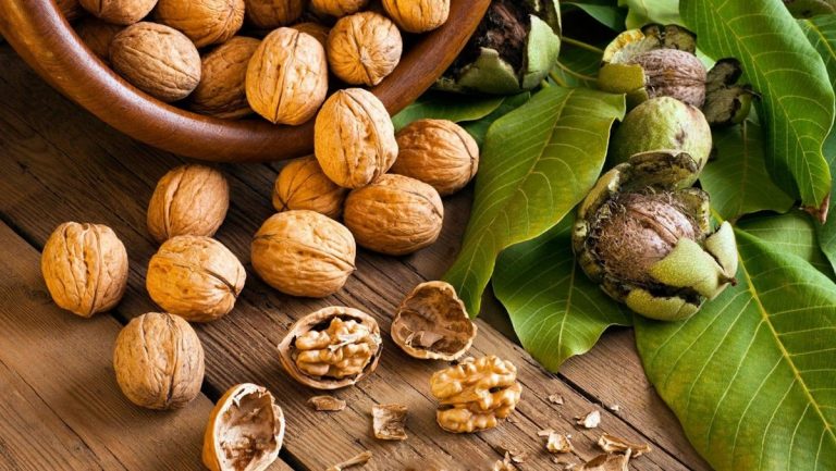 Các loại hạt tốt cho mẹ bầu giúp cho thai nhi phát triển khỏe mạnh