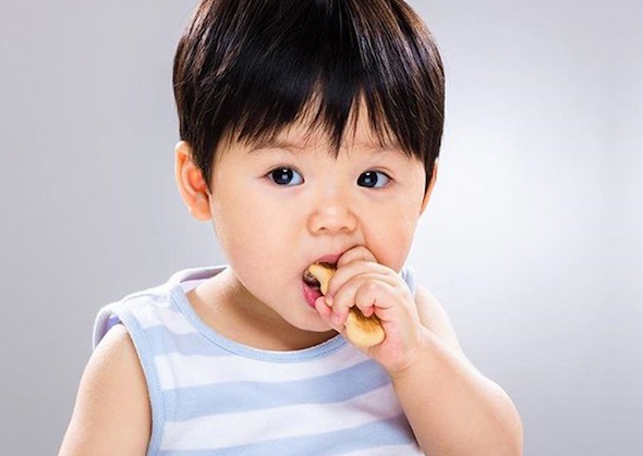 Top bánh ăn dặm cho bé 1 tuổi thơm ngon